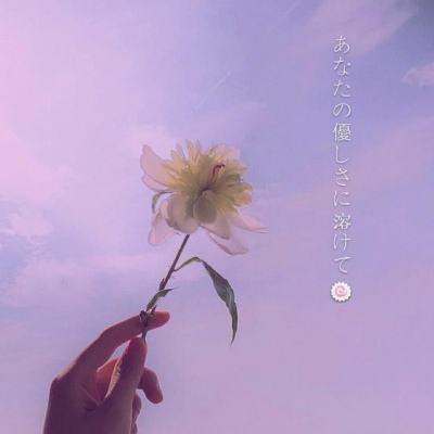 式神新纪元bt下载